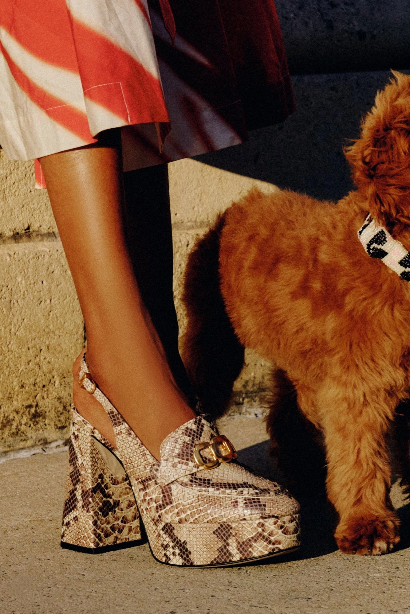 Harrington Loafer Hi In Neutral Snake Stamped Leather Boss Shade Prestige Shade