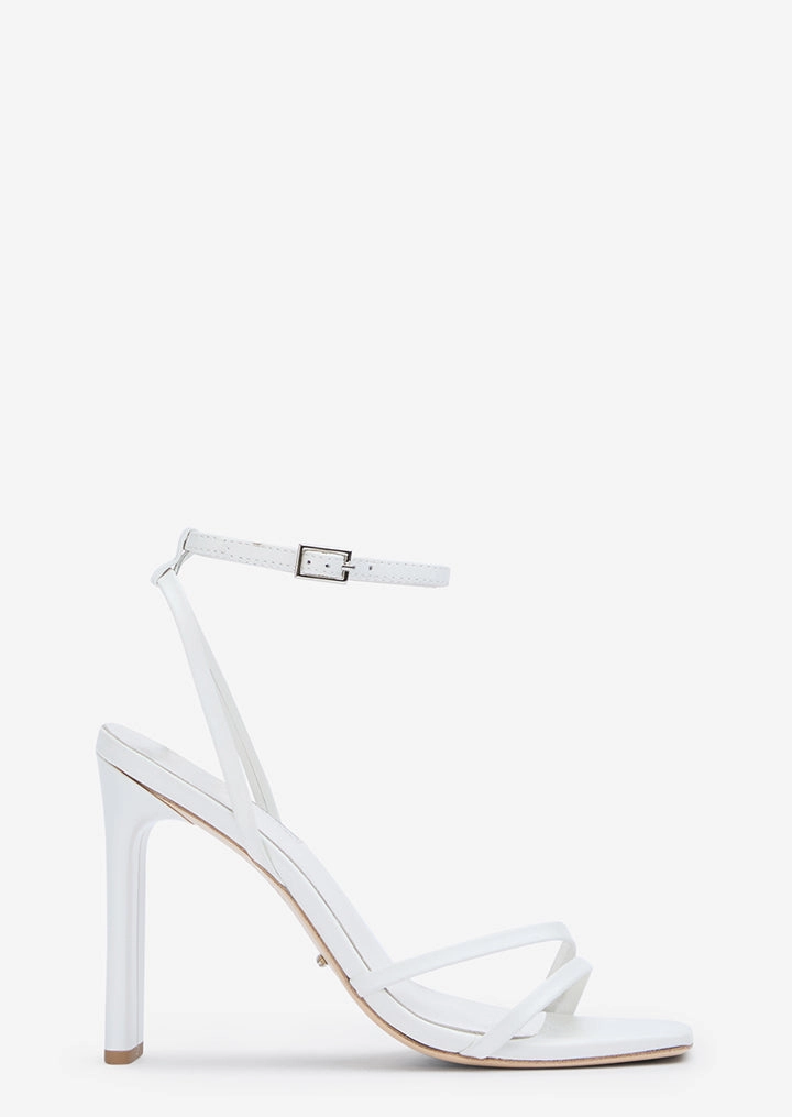 Fiance Milk Capretto Great Trip