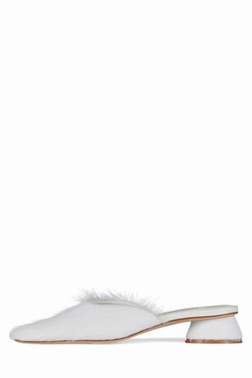 MOLLY-2F Active Lifestyle No Lace Style