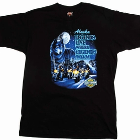 Casual Active MoistureControlFibers VINTAGE HARLEY DAVIDSON TEE SHIRT BY HOLOUBEK 1995 SIZE XL MADE IN USA