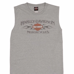 Odor-resistant VINTAGE HARLEY DAVIDSON SNAKE TWIN FALLS IDAHO TANK TOP TEE SHIRT 2006 LARGE