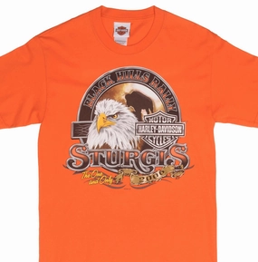 VINTAGE HARLEY DAVIDSON STURGIS BLACK HILL RALLY 2006 TEE SHIRT SMALL MADE USA athletic style Casual Flex Wear