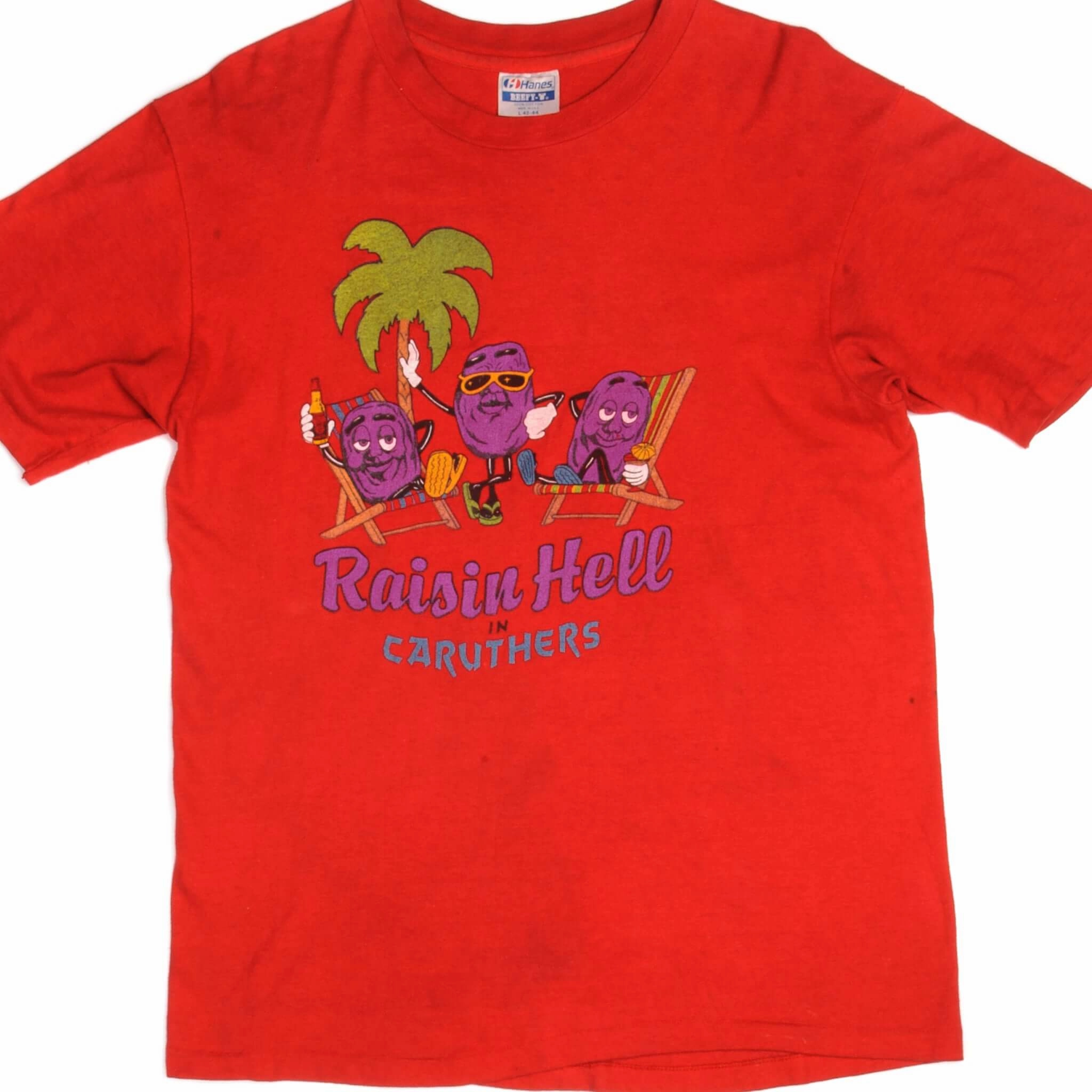 Tight Fit Round neck simplicity VINTAGE RAISIN HELL TEE SHIRT 1980s SIZE LARGE MADE IN USA