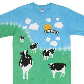 SoftenedTexturedWeave Tear Resistant Knit VINTAGE TIE DYE BEN & JERRY'S EUPHORIA 2000S TEE SHIRT SIZE MEDIUM